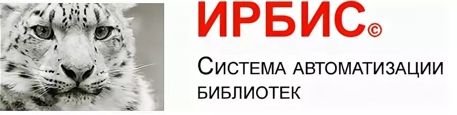 i (1).jpeg